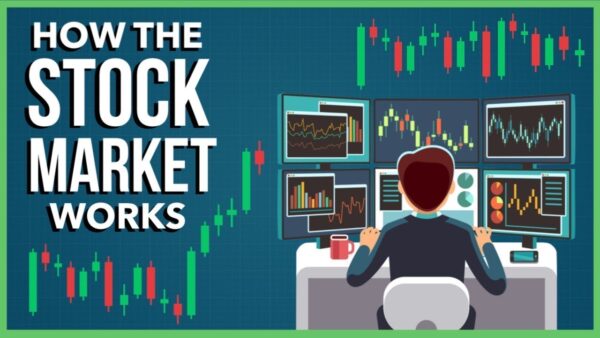 Navigating the Stock Market: What Beginners Need to Know